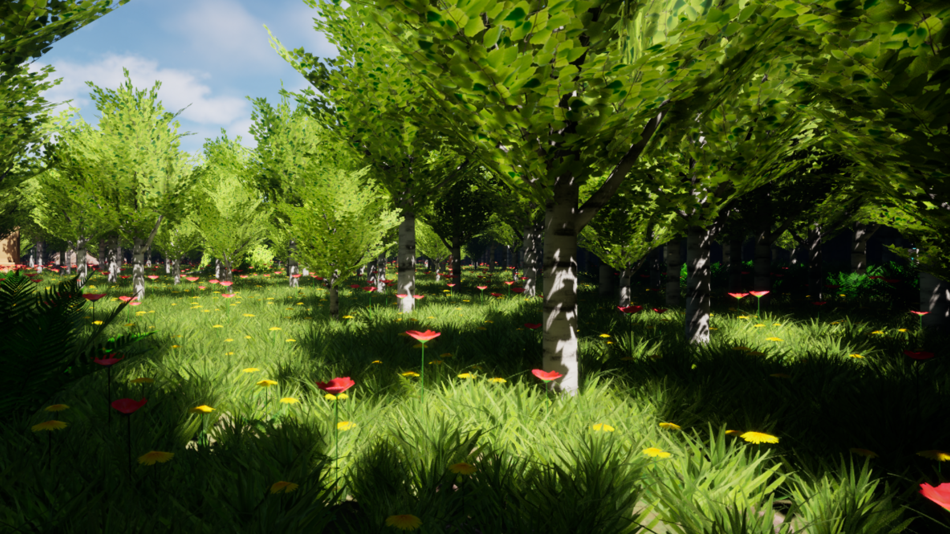 Solo Game Project Environment
